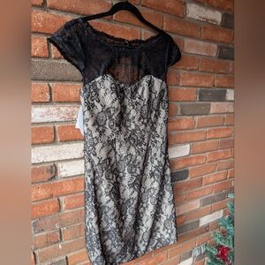 NWT Alfred Angelo Dress, Black Lace, Knee Length Size 8.